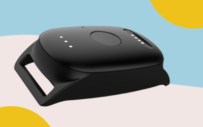 What is the WaldoPet Tracker?