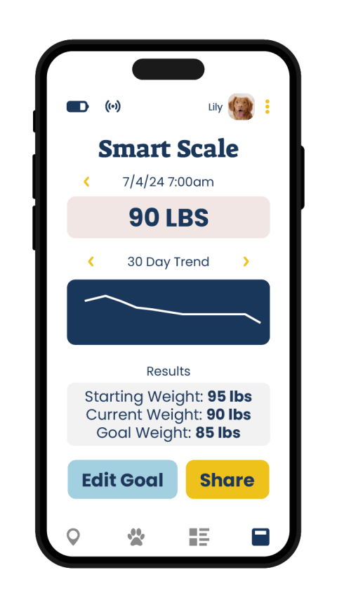 Smart Scale - WaldoPet